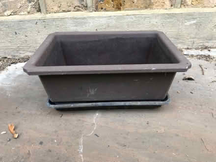 Photo of free Bonsai plant pot with tray (Essex Road N1) #1