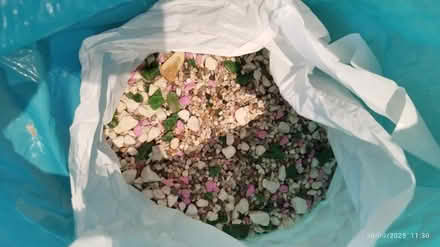 Photo of free Fish tank (Albany park DA14) #4