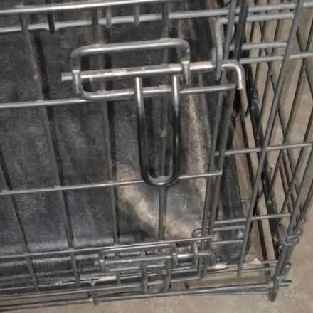 Photo of free Medium crate (Juan Tabo and Central) #3
