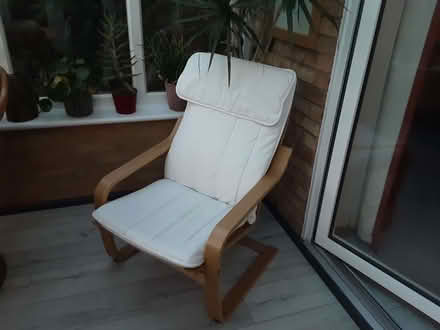 Photo of free Ikea Poang Chair (CT10) #1