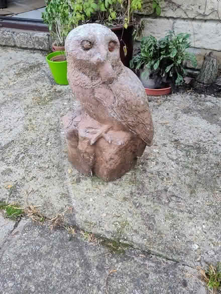 Photo of free Concrete owl statue (Milborne Port) #1