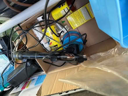 Photo of free Aquarium/viviparium (Crediton) #3