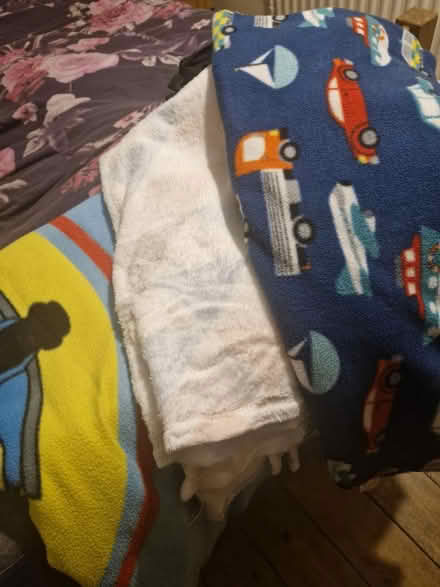 Photo of free Blankets (Canterbury) #1