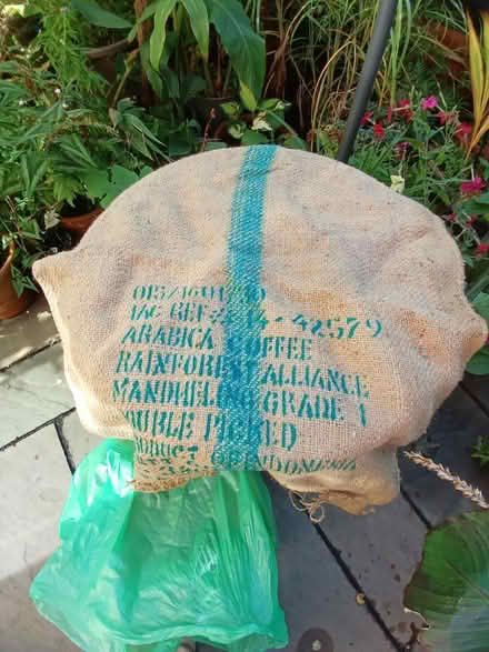 Photo of free Coffee sacks (Boroughbridge) #1