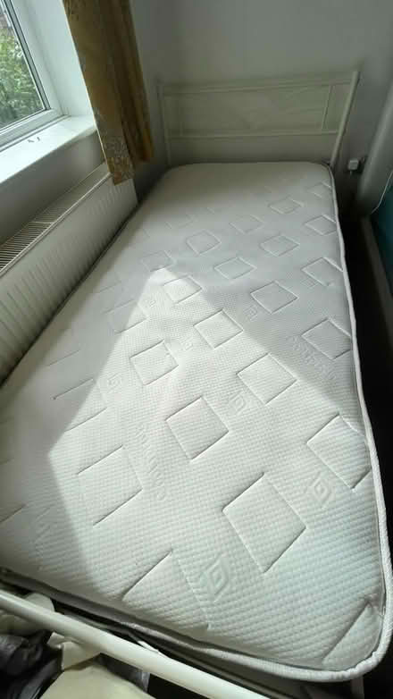 Photo of free Single bed (Great Moulton NR15) #1