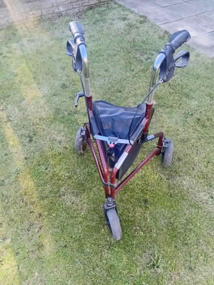 Photo of Mobility walker (Moreton) #2