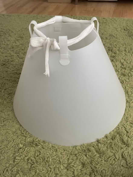 Photo of free “Cone of Shame” for Labrador sized dog (Barkham RG41) #1