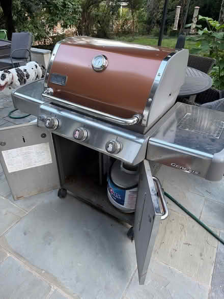 Photo of free Weber Genesis Grill (Falls Church, VA) #1