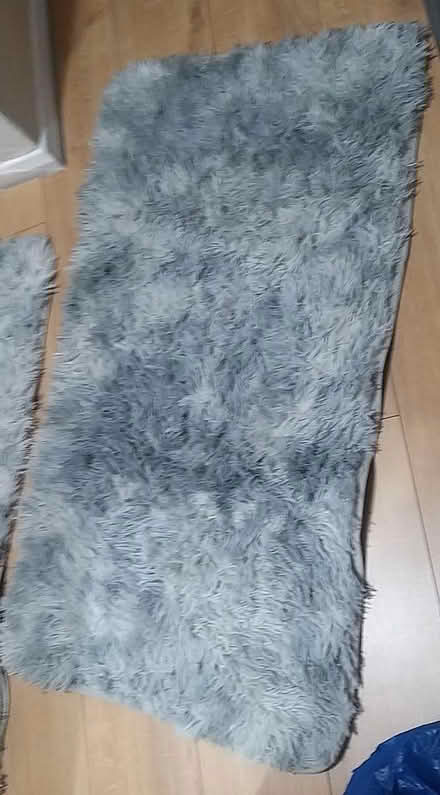 Photo of free Rugs (Herne Hill, SE24) #1