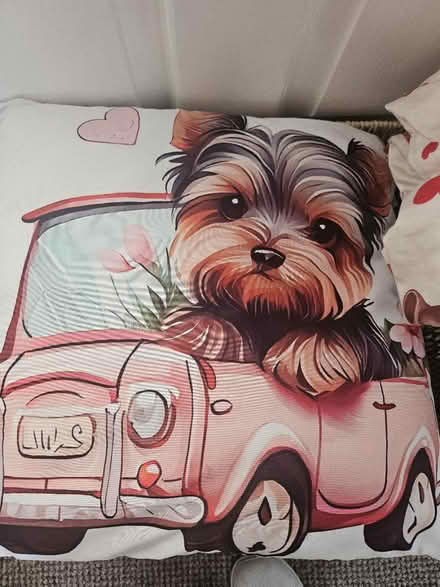 Photo of free Yorkie cushion (Ashton in Makerfield WN4) #2