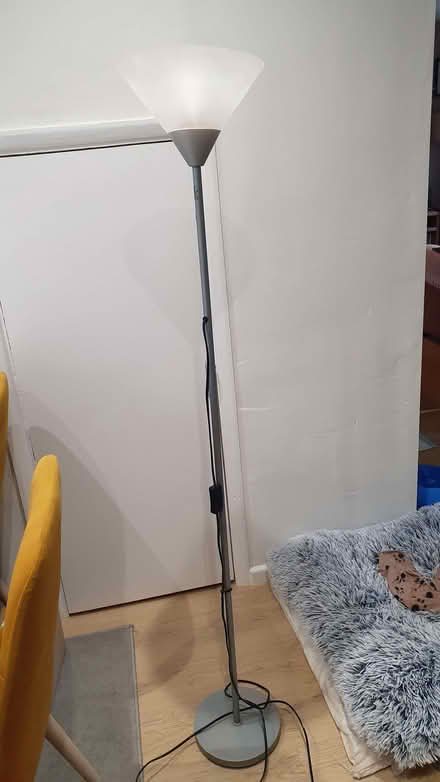 Photo of free Uplighter floor lamp (Parson's Heath CO4) #1