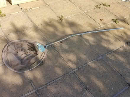Photo of free Large pond net (Derby DE24) #1