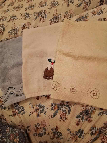 Photo of free Hand towels (Caversham RG4) #1