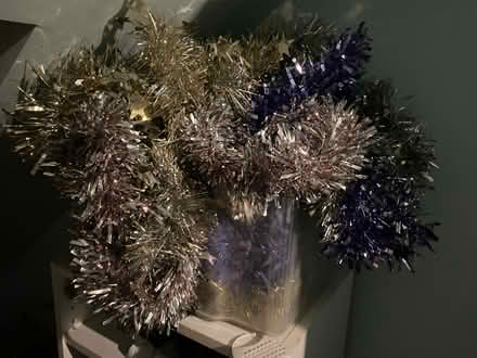 Photo of free Tinsel (NW10) #2
