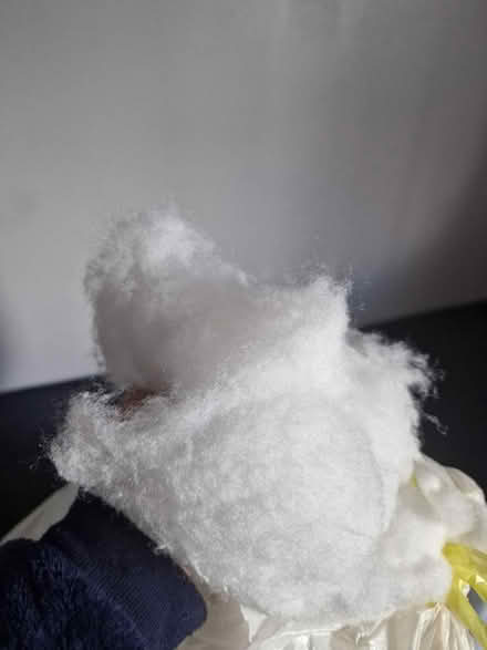 Photo of free Stuffing for cushions (GL52) #1