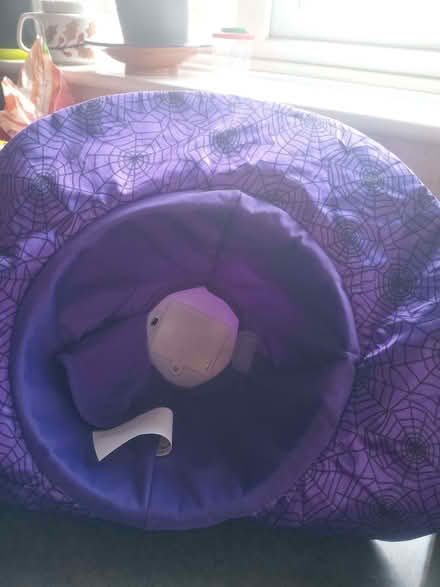 Photo of free Singing witch's hat (Kennington OX1) #3