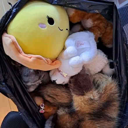 Photo of free Bin Bag of Teddies (Redfield BS5) #1
