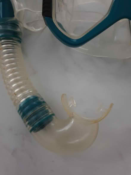 Photo of free Facemask & snorkel -HOLIDAY? (ME16 - Allington) #3