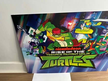 Photo of free TNMT print (Scraptoft Leicester LE7) #1