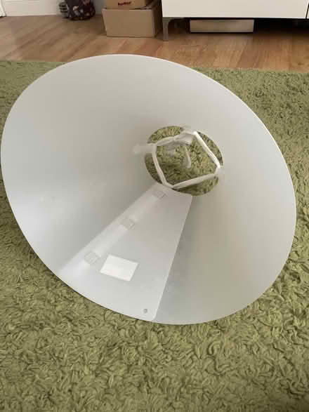Photo of free “Cone of Shame” for Labrador sized dog (Barkham RG41) #2