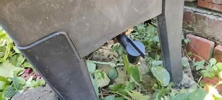 Photo of free Wormery (Bare LA4) #2