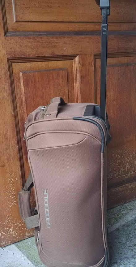 Photo of free Luggage bag (Crocodile ) (East) #1