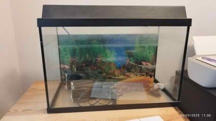 Photo of free Fish tank (Albany park DA14) #1