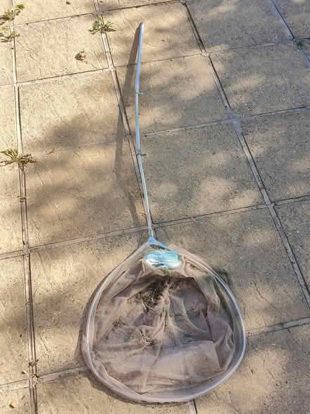 Photo of free Large pond net (Derby DE24) #3