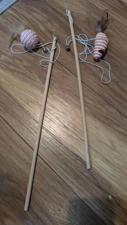 Photo of free Cat toys (Stockwell) #1