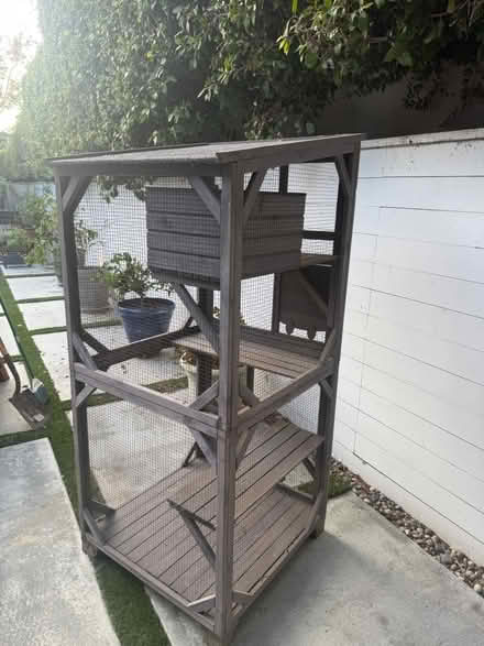 Photo of free Catio (Mid city) #1