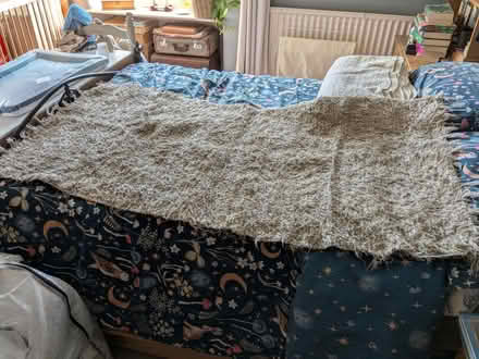 Photo of free Rug (Belper DE56) #1