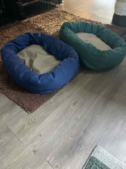 Photo of free Dog beds (Lowell MA) #1
