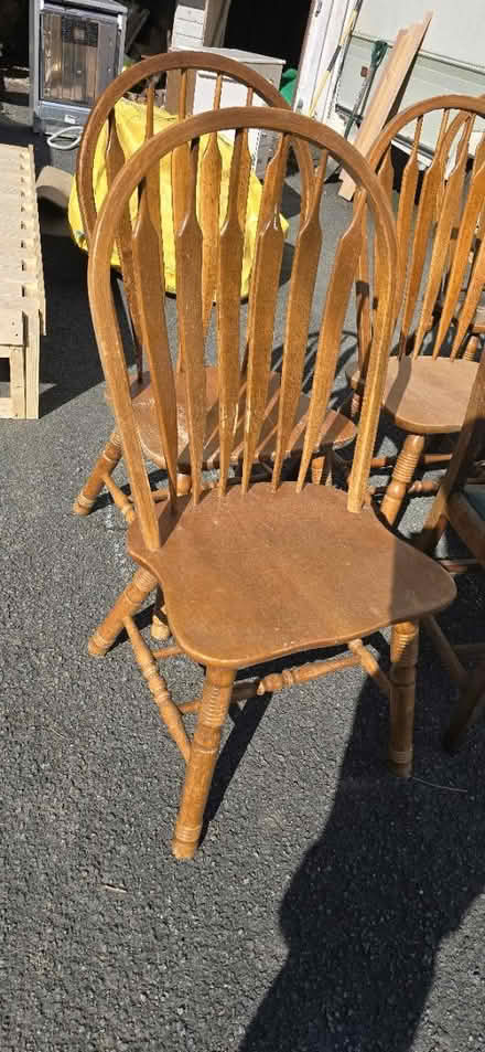 Photo of free Dining chairs (Llandrindod wells LD1) #1