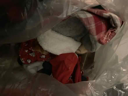 Photo of free Christmas stockings (NW10) #1