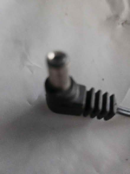 Photo of free Flowers (Ashton in Makerfield WN4) #4