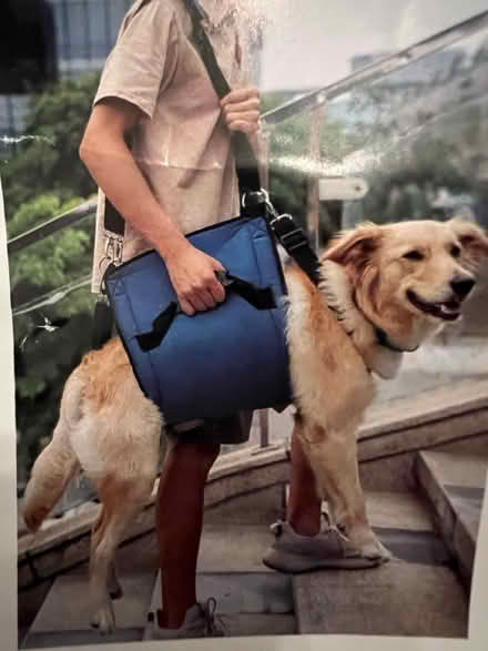 Photo of free Dog Lift Harness (Columbia) #1