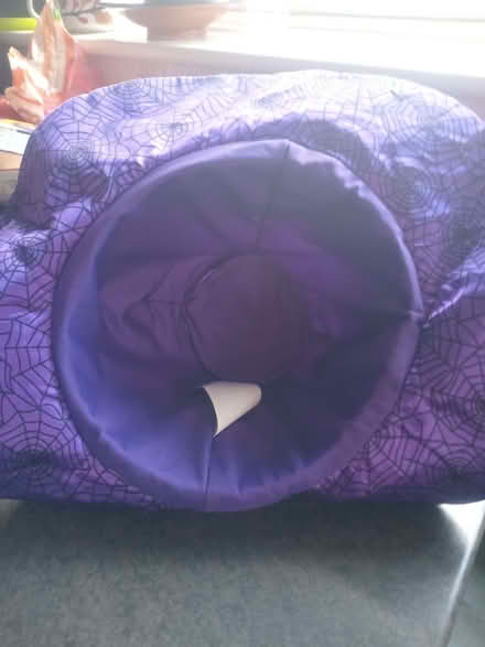Photo of free Singing witch's hat (Kennington OX1) #2