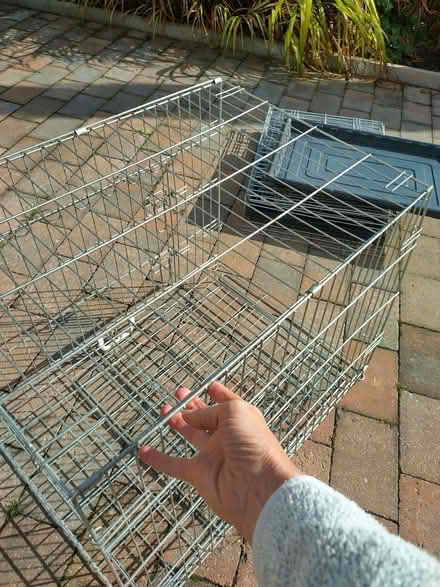 Photo of free Dog crates X2 (Allerton L15) #1