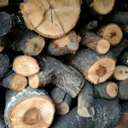 Photo of Firewood (De564dh) #1