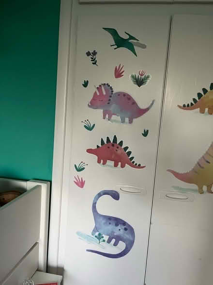 Photo of free Dinosaur wall stickers (Peachcroft OX14) #3