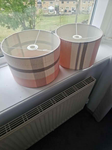 Photo of free Coloured Lamp Shades (HX3) #1