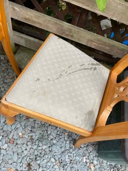 Photo of free Set of 4 dinning chairs (AL4, St albans) #3