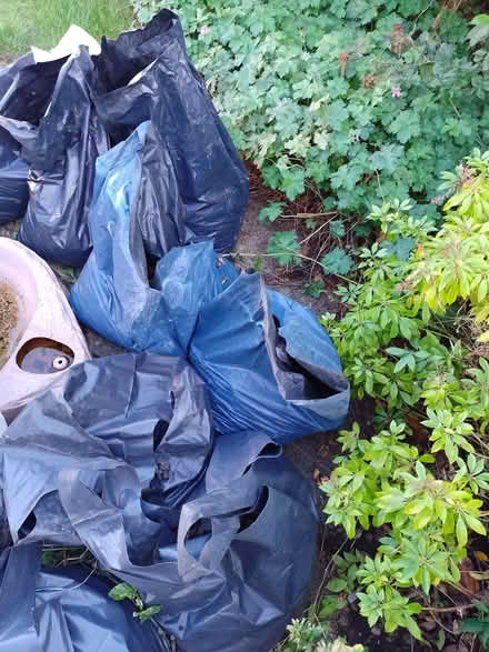 Photo of free 500kg small stones (Marden NE30) #2