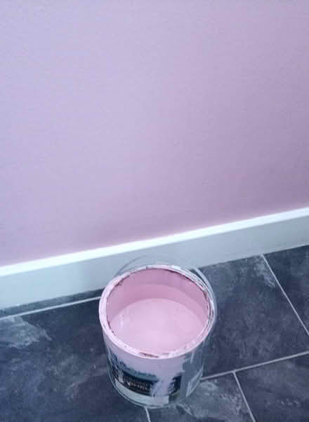 Photo of free Eggshell Paint 'Cherry Plum' (LE8 5AH) #2