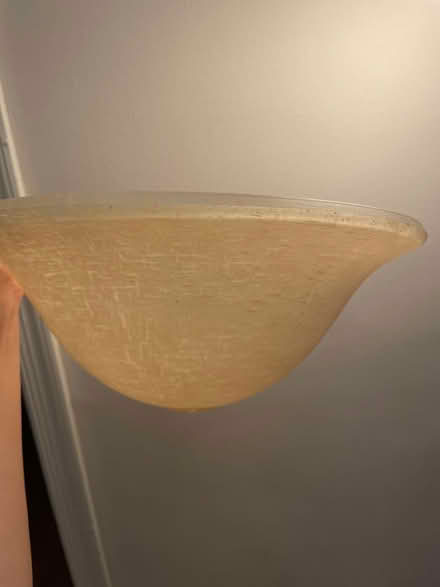 Photo of free Torchiere Lamp Shade (Broomall) #2