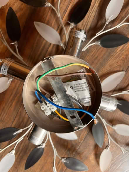 Photo of free Ceiling light working order (Spondon DE21) #3