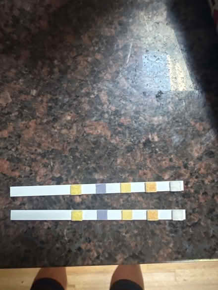 Photo of free Pool test strips 6 way (Meacham and Kirchhoff) #4