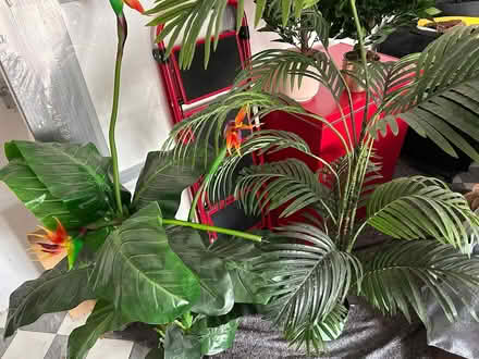 Photo of free 4 x Artificial Plants (Wolverhampton WV10) #1