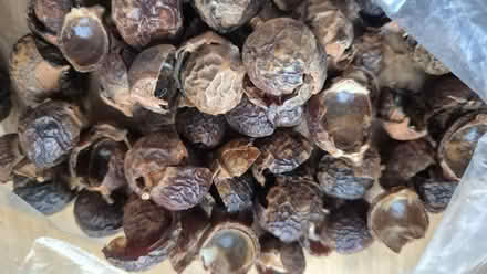 Photo of free Soap nuts (Norcot RG30) #2