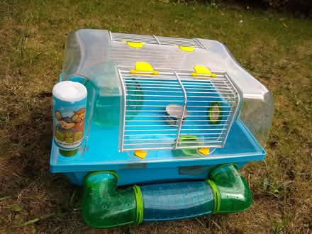 Photo of free Dwarf Hamster or Mouse Home (Hatfield Peverel CM3) #3
